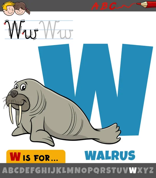 Educatieve Cartoon Illustratie Van Letter Uit Alfabet Met Walrus Dier — Stockvector