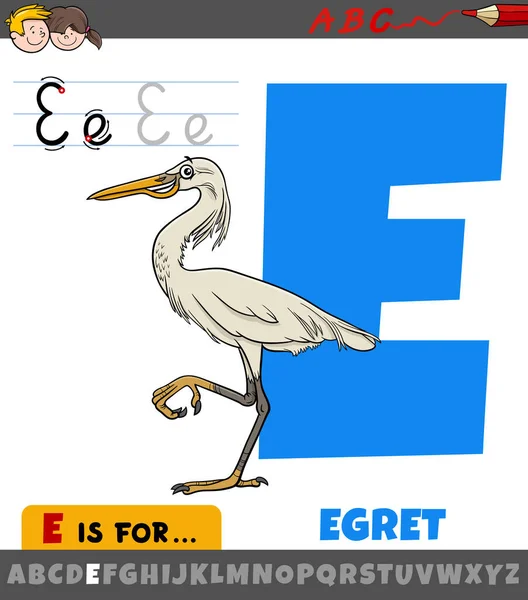 Edukacyjny Kreskówka Ilustracja Litera Alfabetu Egret Ptaków Zwierząt Charakter — Wektor stockowy