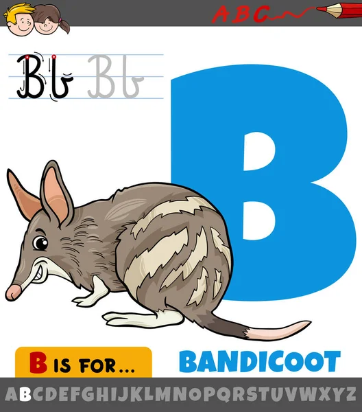 Educational Cartoon Illustration Letter Alphabet Bandicoot Animal Character — Stock Vector