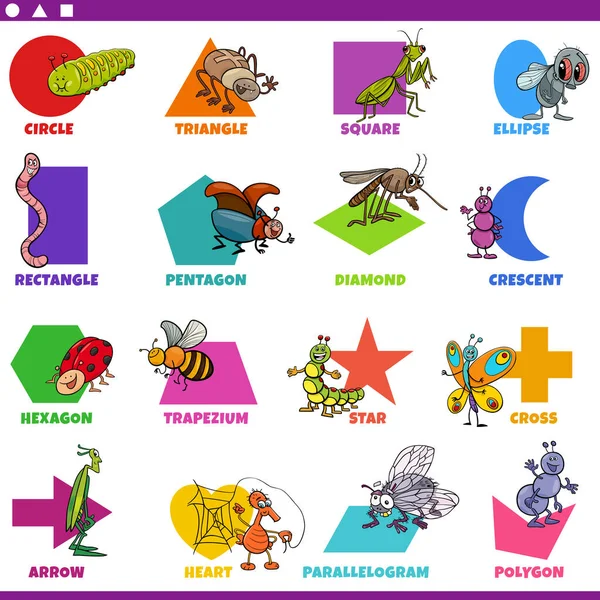 学龄前和小学儿童基本几何形状的教育卡通画 附有图解和昆虫动物特征 — 图库矢量图片
