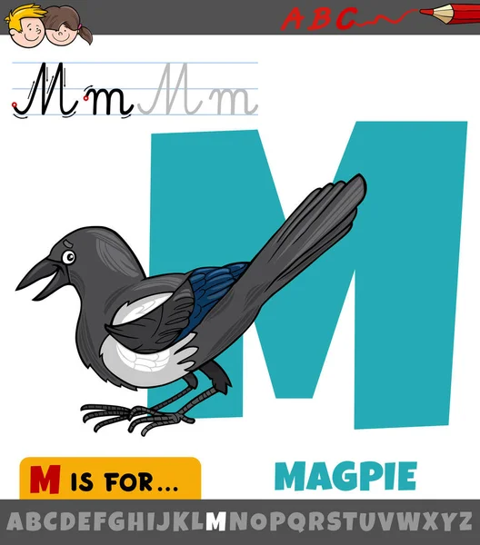 Magpie Bird Hayvan Karakterli Harfinin Eğitici Çizimi — Stok Vektör