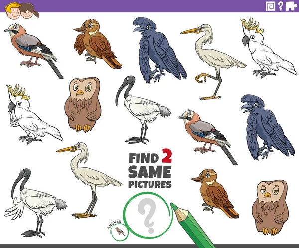Cartoon Ilustrace Nalezení Dvou Stejných Obrázků Vzdělávací Hra Komiksy Ptáků — Stockový vektor