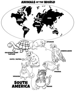 Güney Amerika hayvan türlerinin ve kıta boyama kitabı sayfası olan dünya haritasının siyah beyaz çizgi film çizimi