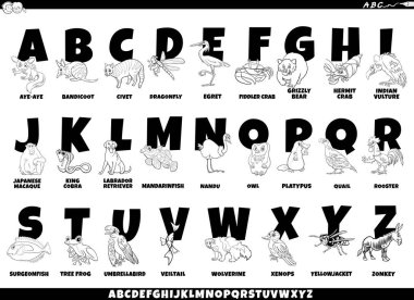 Komik Hayvan Karakterleri ve Altyazılarıyla Renkli Tam Alfabe Çizimi