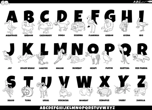 Мультфильм Красочный Полный Алфавит Забавными Анимированными Персонажами Подписями — стоковый вектор