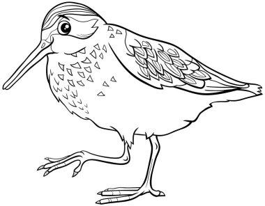 Komik batılı çulluk kuşu çizgi roman karakteri boyama sayfasının siyah beyaz çizimi