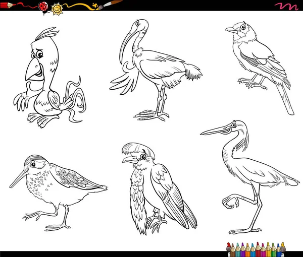 鳥の黒と白の漫画のイラスト動物漫画のキャラクターセットぬり絵のページ — ストックベクタ