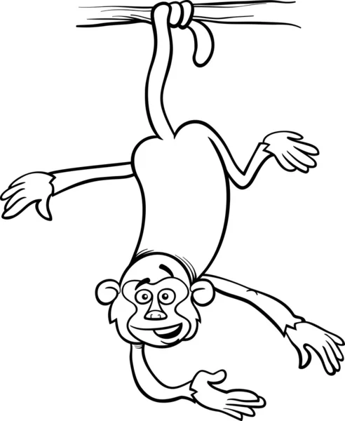 Singe sur la page de coloriage de branche — Image vectorielle