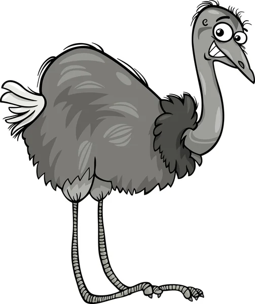 Nandu ostrich bird cartoon illustration — Stock Vector