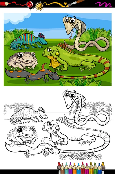 Reptiles and amphibians coloring book — Stock Vector