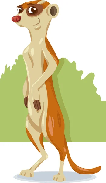 Carino meerkat cartone animato illustrazione — Vettoriale Stock