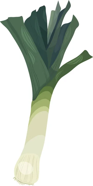 Pórek zeleniny kreslený obrázek — Stockový vektor