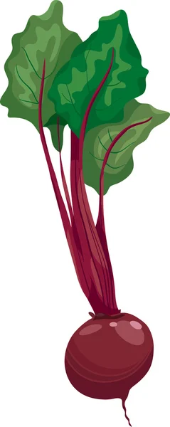 Remolacha vegetal ilustración de dibujos animados — Vector de stock