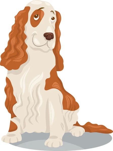 Cocker spaniel perro ilustración de dibujos animados — Vector de stock