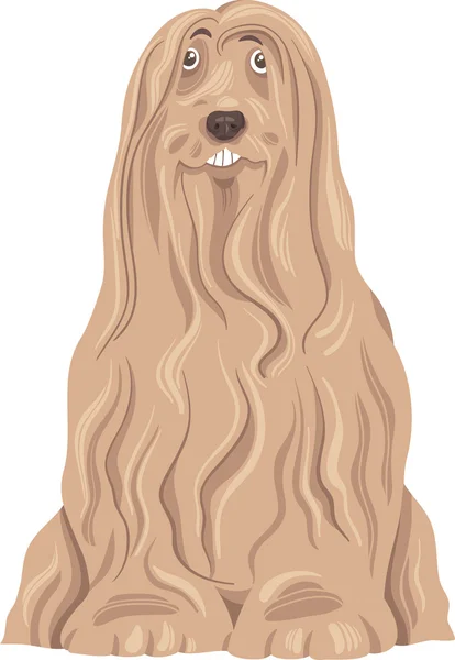 Barbu collie chien dessin animé — Image vectorielle