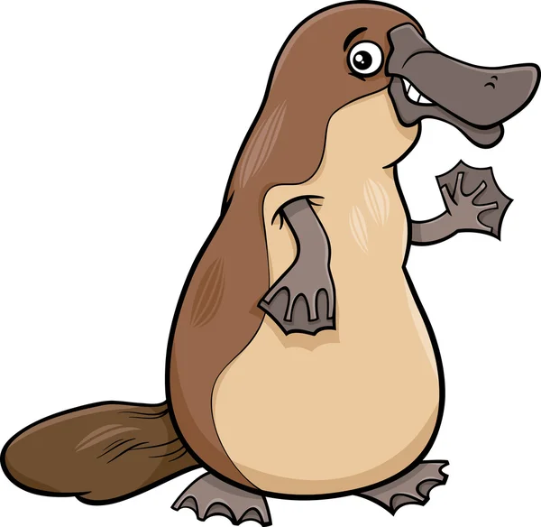Ornitorrinco animais dos desenhos animados illustartion — Vetor de Stock