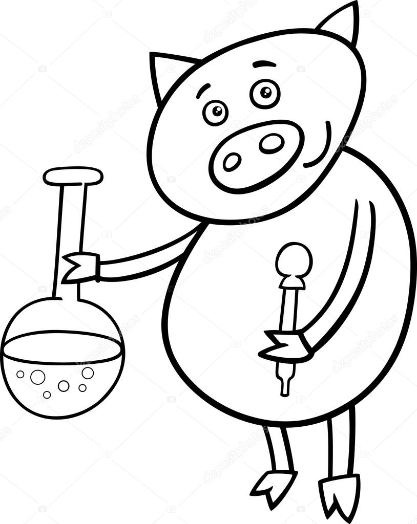 Black And White Cartoon Illustration Of Funny Pig Animal Character On Chemistry Lesson With Vial For