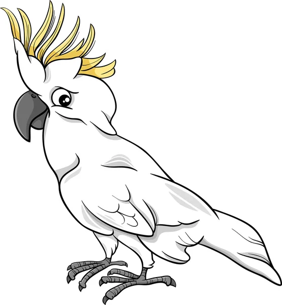 Cockatoo pappagallo cartone animato illustrazione — Vettoriale Stock