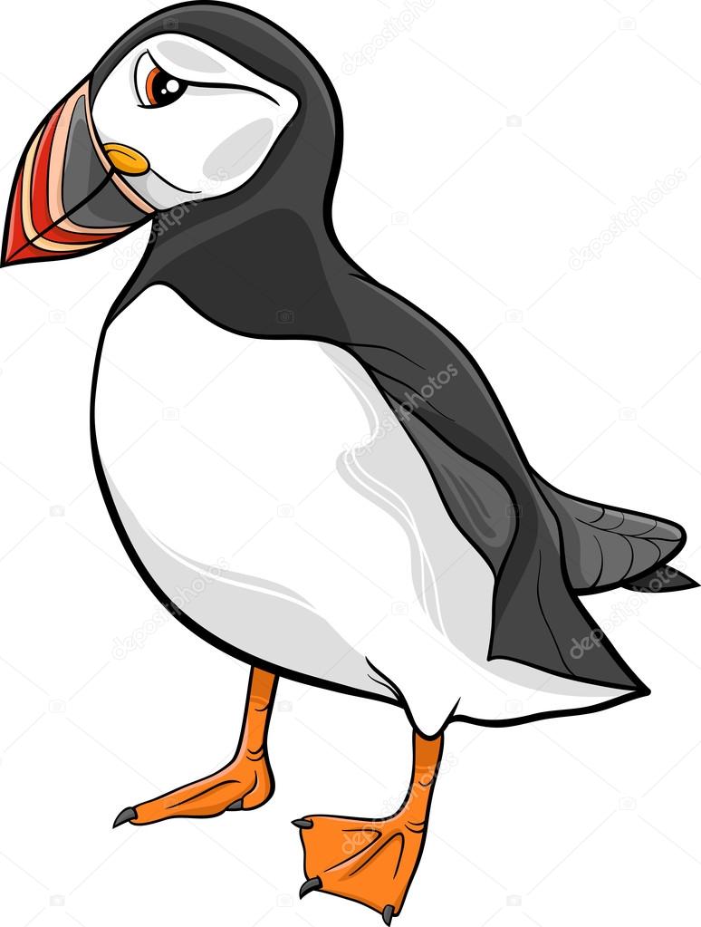 atlantic puffin cartoon illustration