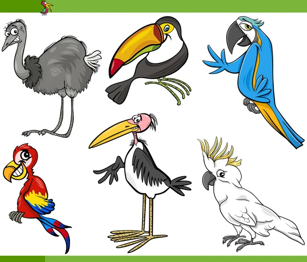 Vögel Cartoon Set Illustration — Stockvektor