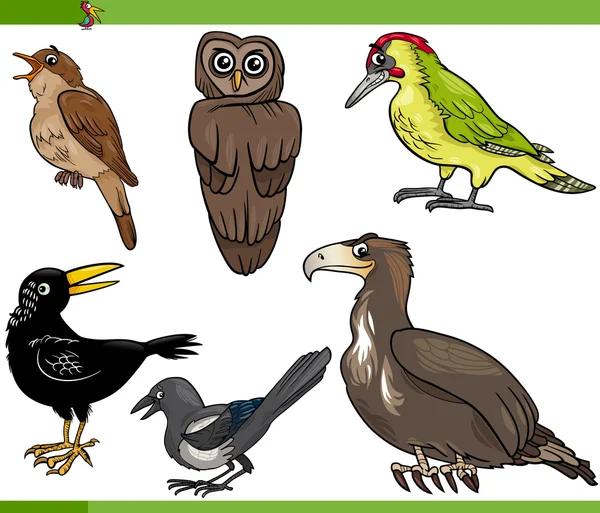 Ilustración conjunto de dibujos animados aves — Vector de stock