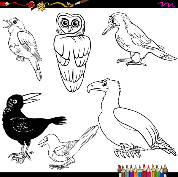 Vogels cartoon kleurplaat — Stockvector