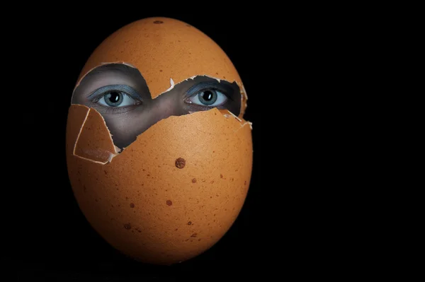 Egghead — стокове фото