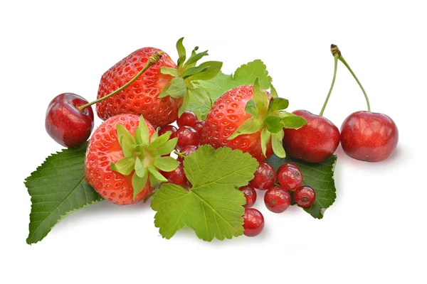 Divers fruits d'été sur fond blanc — Photo