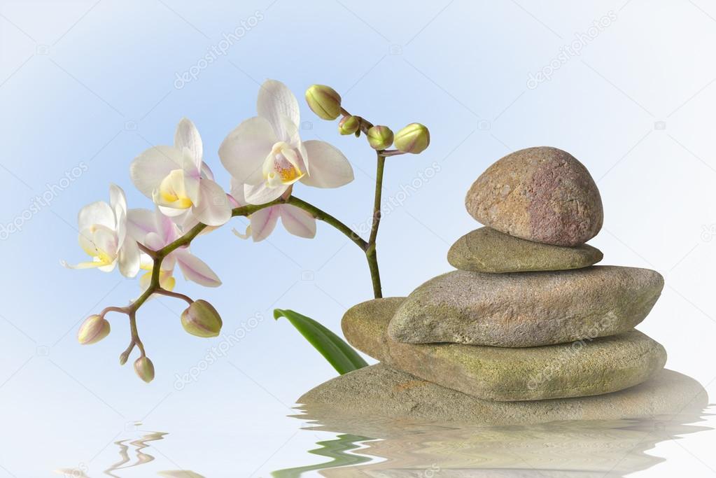 White orchid with stone pyramid