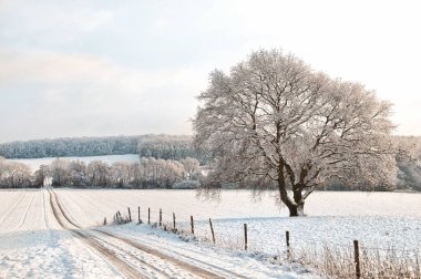 karla kaplı kış manzarası