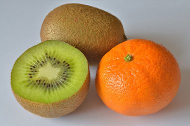 Palamutlu bir alakarga.