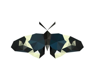 origami kelebek