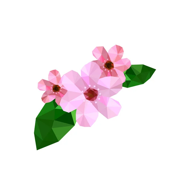 Mooie origami cherry blossom — Stockvector