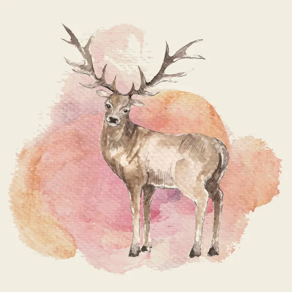 Aquarell handgezeichneter Hirsch — Stockvektor