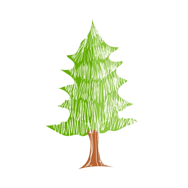 Hand drawn pine tree — Stock Vector