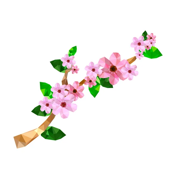 Origami  pink cherry blossom — Stock Vector