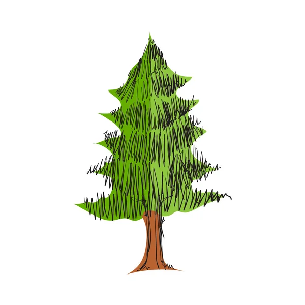 Pine tree sketch — Stock Vector