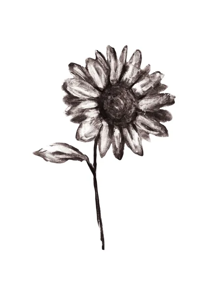 鉛筆描かれた花 — ストックベクタ