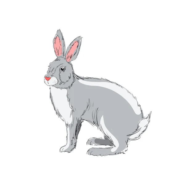 Lapin dessiné à la main — Image vectorielle