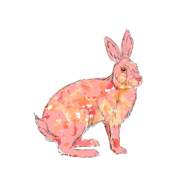 Acquerello rosa coniglio — Vettoriale Stock