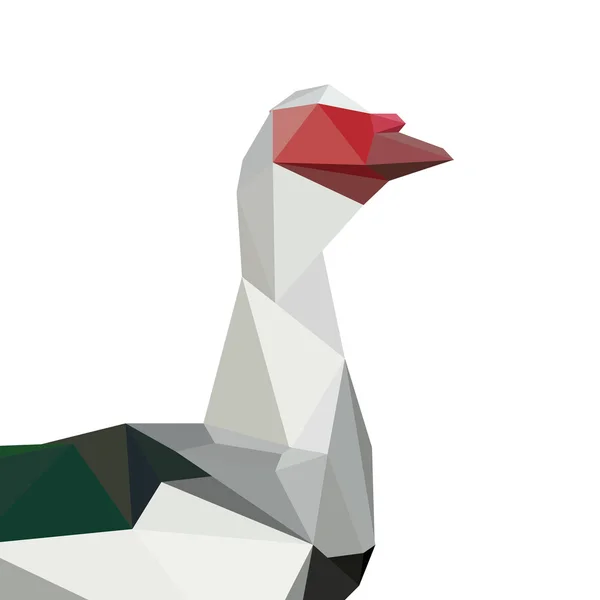 Origami pato muscovy — Vetor de Stock