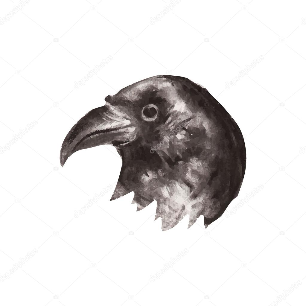 Hand drawn raven portrait