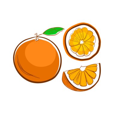 çizilmiş portakal dilimleri ile el