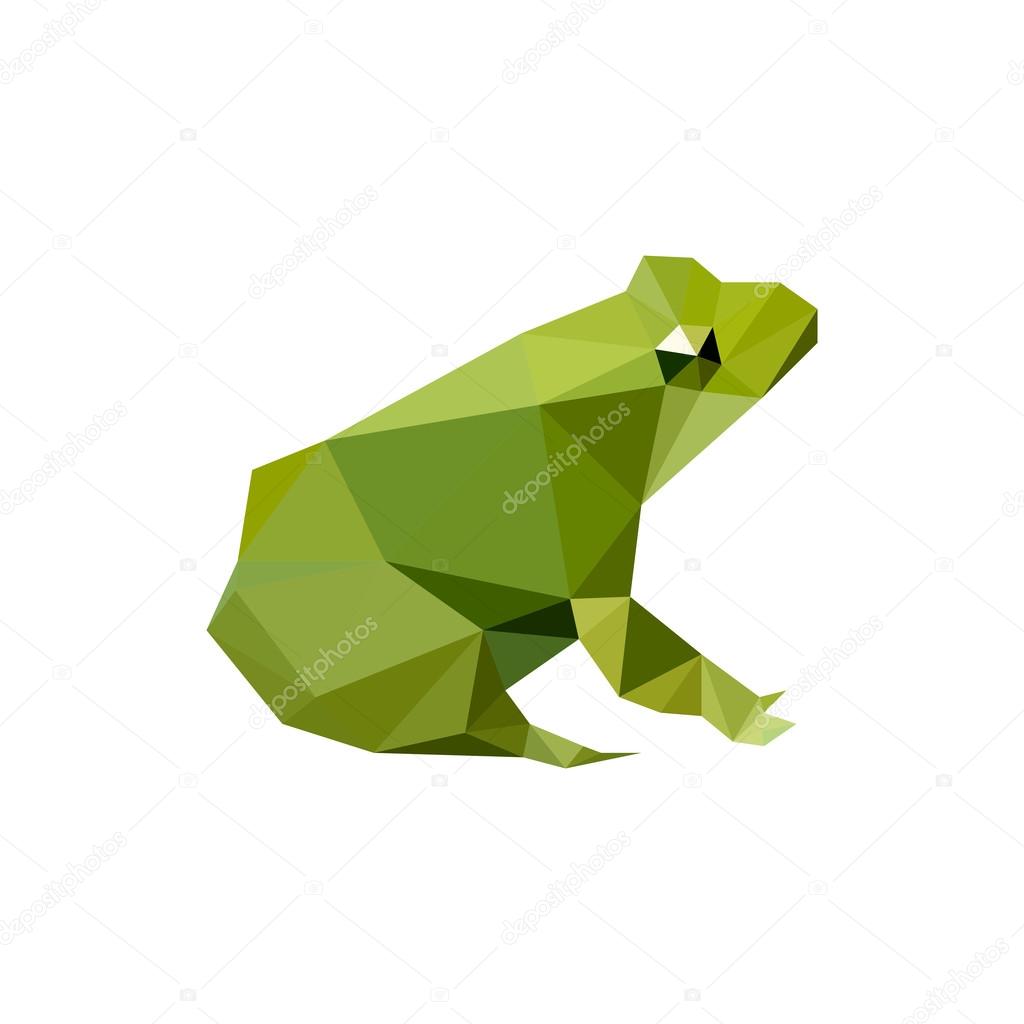 Illustration of modern flat design with origami frog, isolated on white background