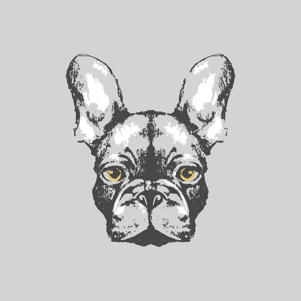 Hand drawn french bulldog portrait — Stock Vector