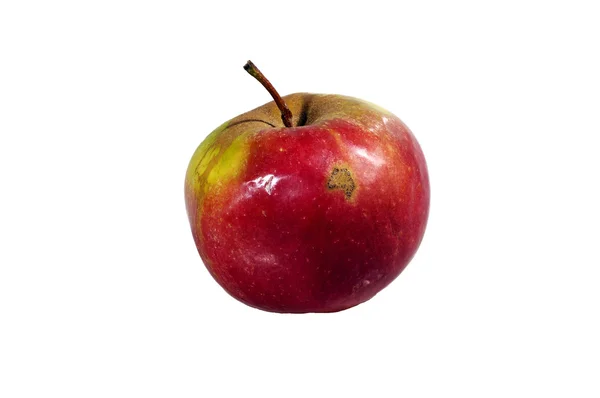 Olgun Kırmızı elma