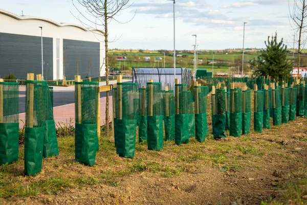new trees over industrial distribution warehouse in england uk