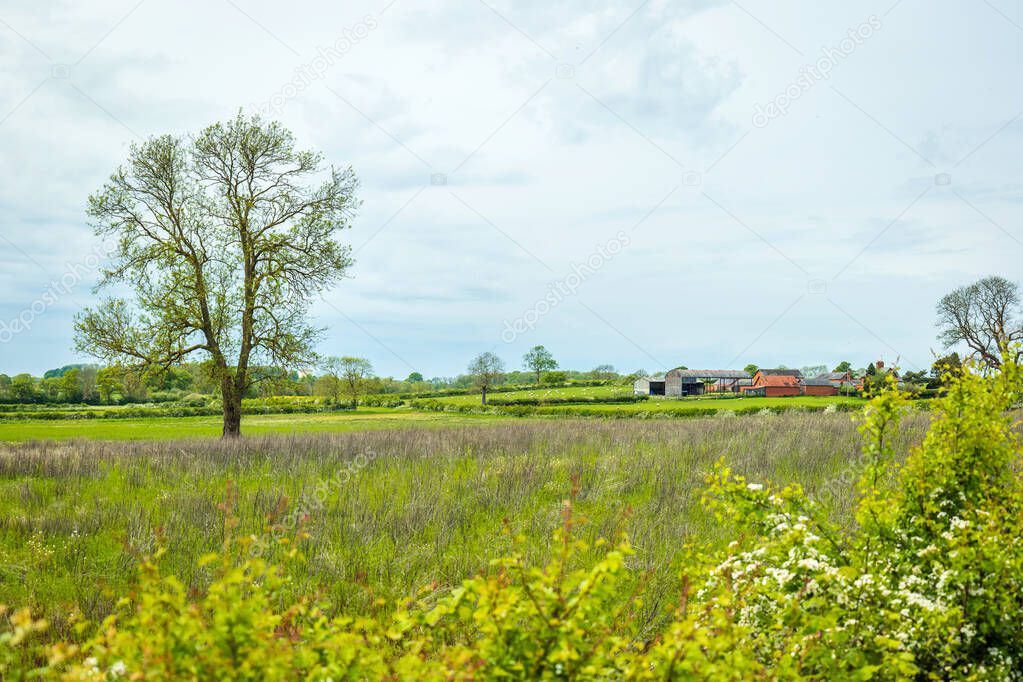 british farm fields on spring sunny day in england uk