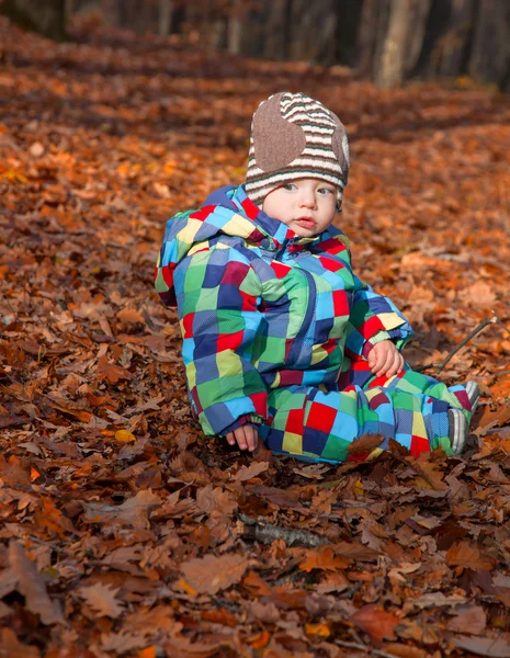 Petit garçon dans les bois — Photo