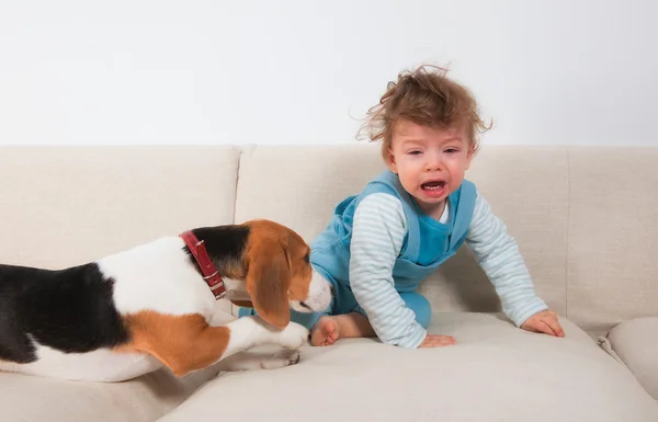 Molesto bebé niño y su mascota —  Fotos de Stock